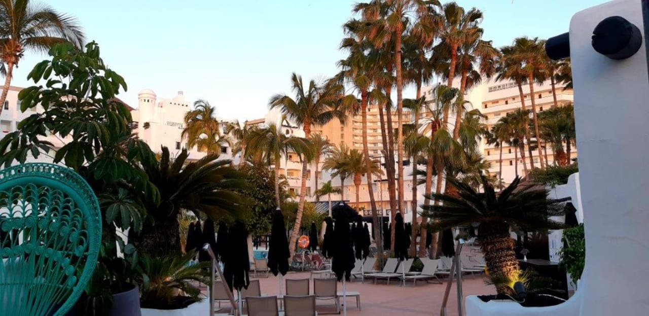 Sonstiges Dreams Jardín Tropical