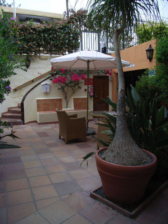 Eingangsbereich und Rezeption Apartamentos Nogalera