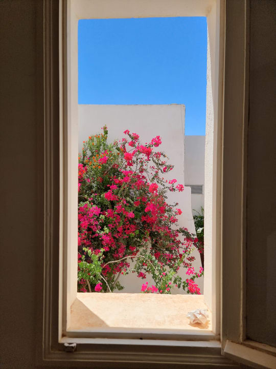 Ausblick Iris Hotel & Thalasso