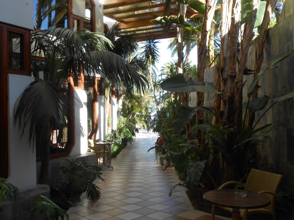 Gang zur Poolanlage Corallium Beach by Lopesan Hotels - Adults only