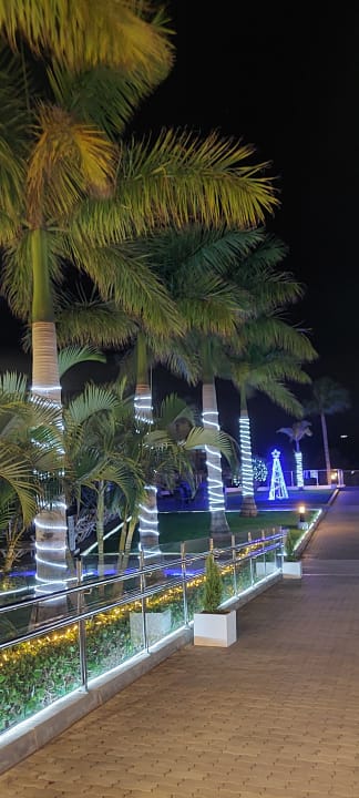 Gartenanlage Hotel Riu Arecas - Adults only