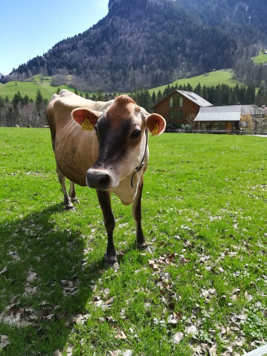 Außenansicht Hubertus Hotel - Café - Gasthaus