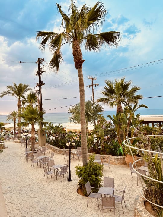 Sport & Freizeit Cactus Beach