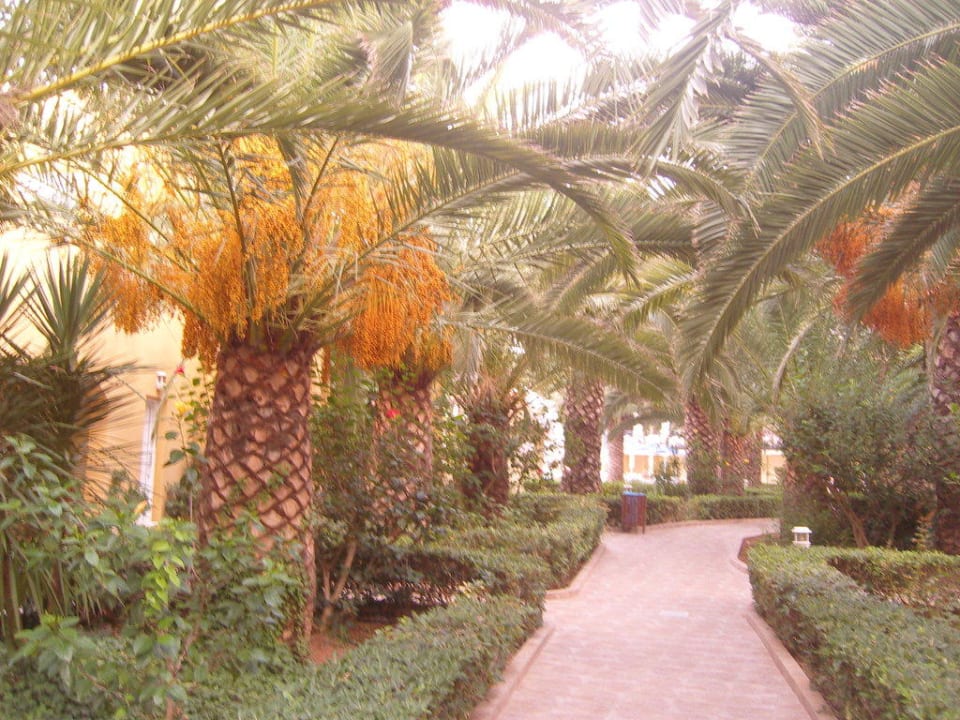 Weg zum Pool Vantaris Luxury Beach Resort