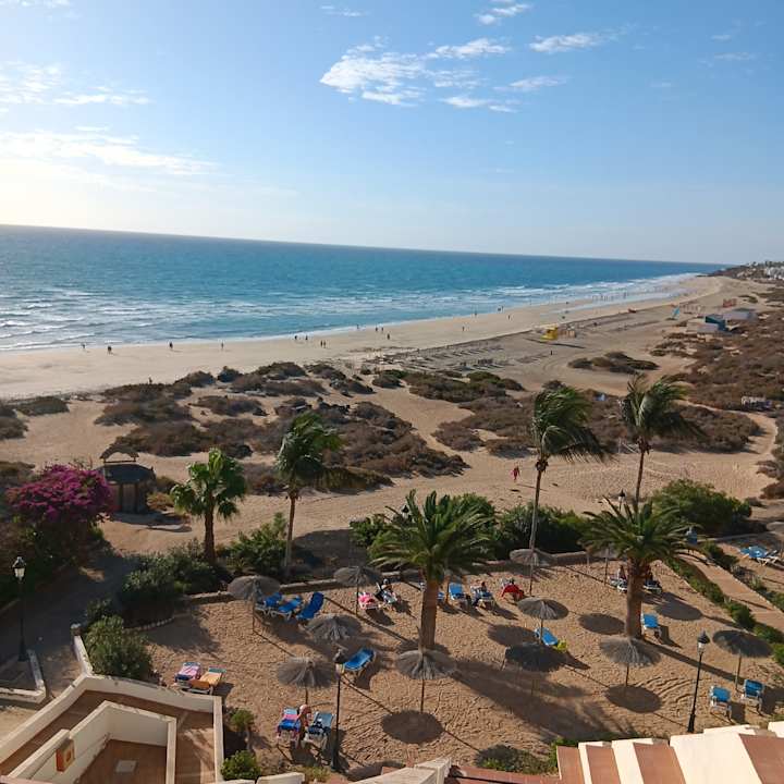 Gartenanlage SBH Crystal Beach Hotel & Suites