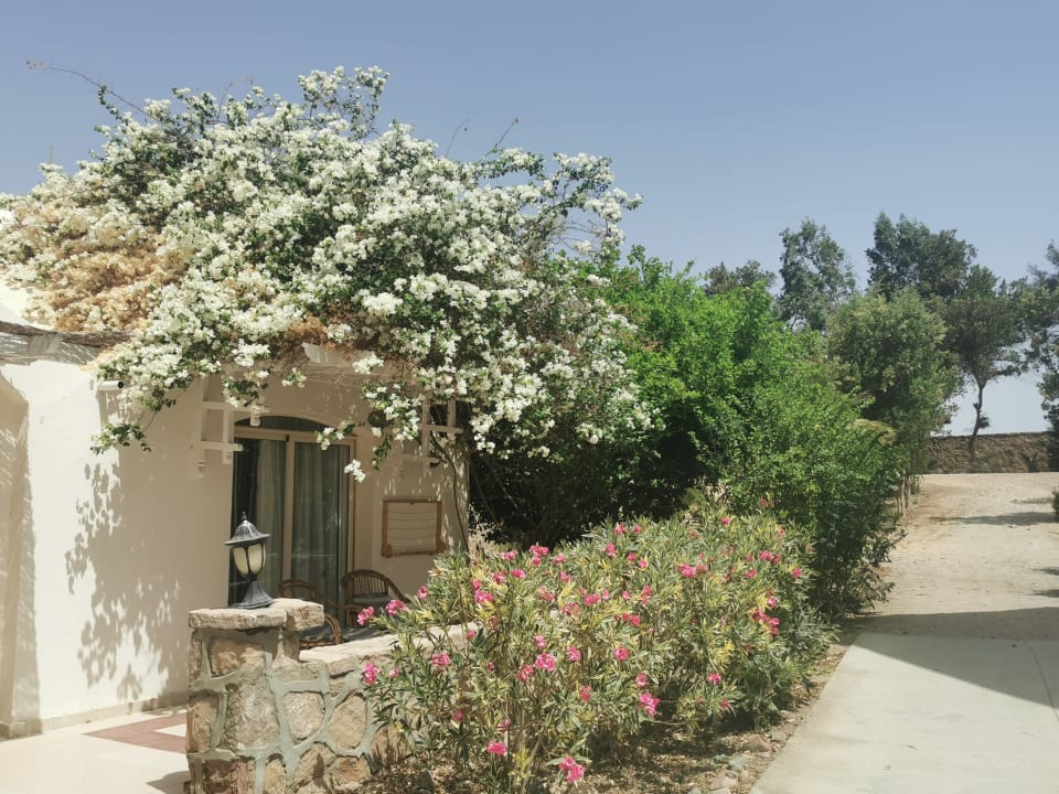 Gartenanlage Brayka Bay Resort