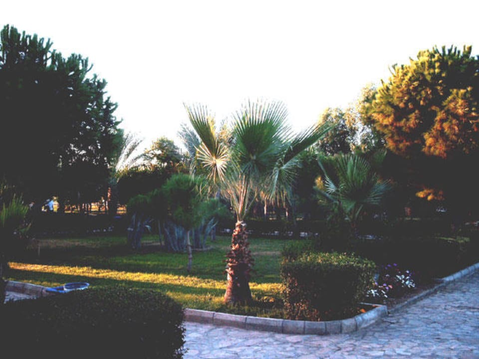 Sporting Club Turtas Gartenanlage Club Turtas Beach Hotel
