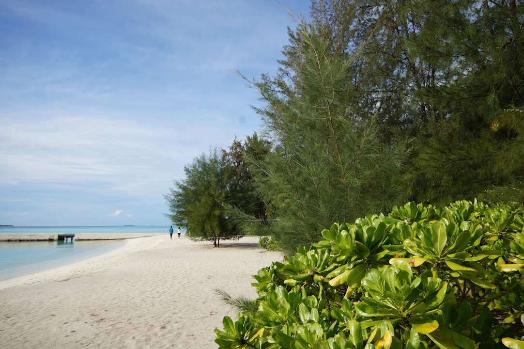 Strand Summer Island Maldives