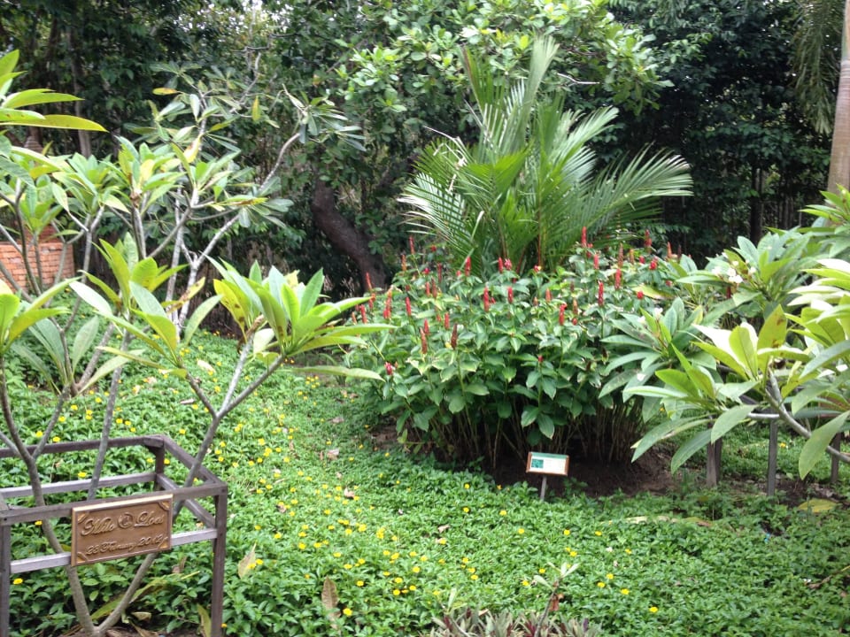 Ogród Santhiya Koh Phangan Resort & Spa