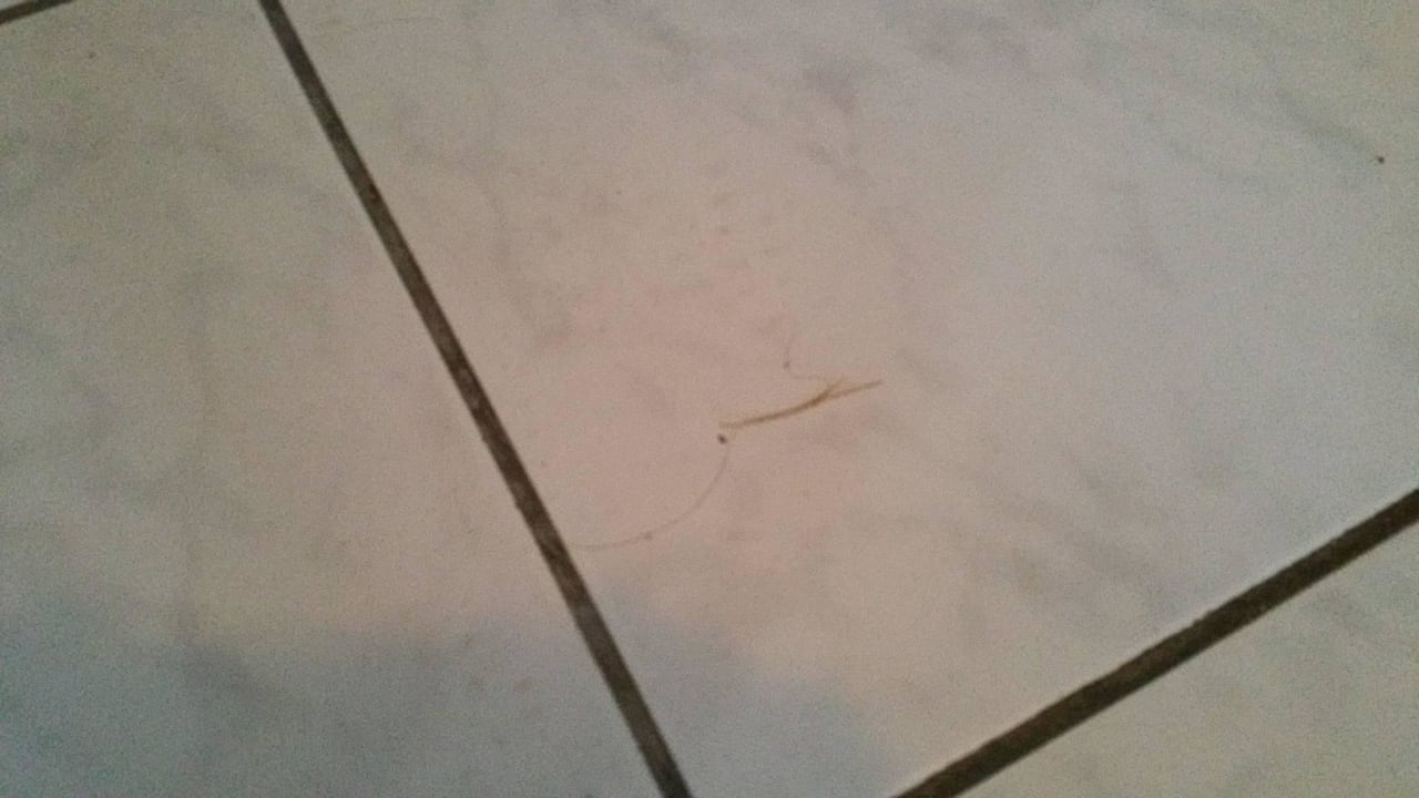 Dreck Ilios K Village Resort