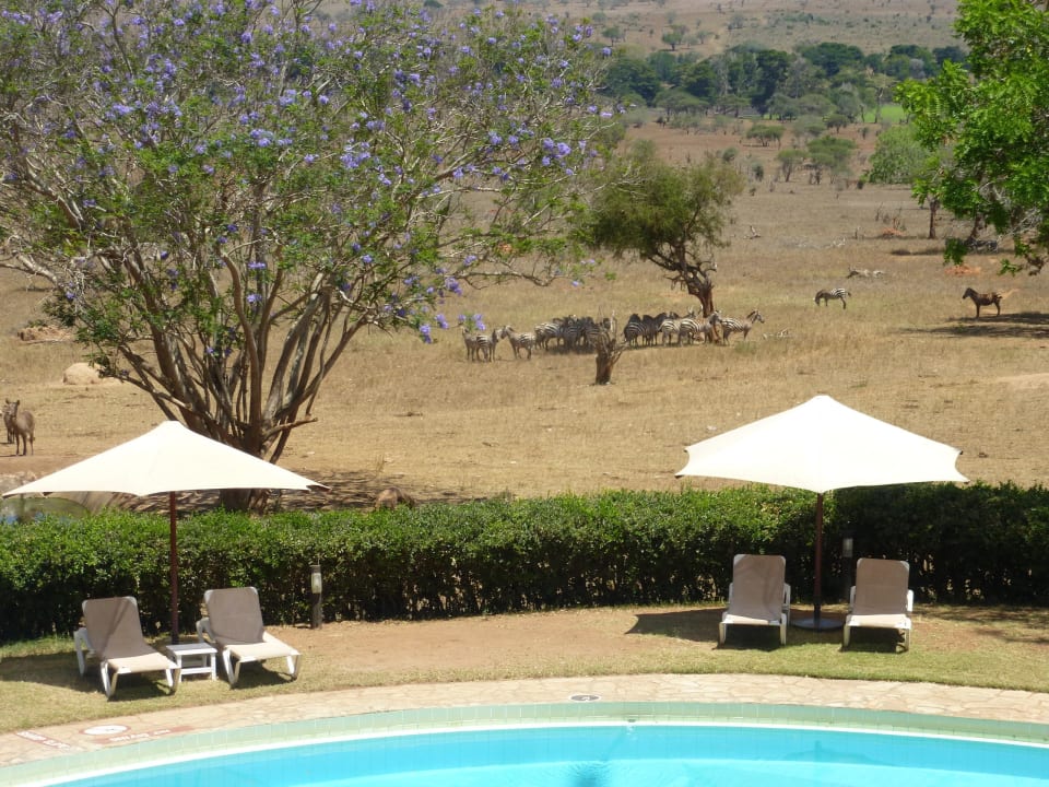 Blick in die Landschaft Taita Hills Safari Resort & Spa
