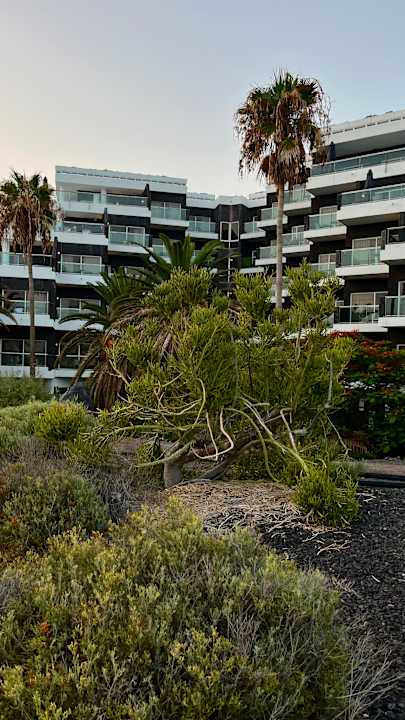 Außenansicht Melia La Palma Hotel
