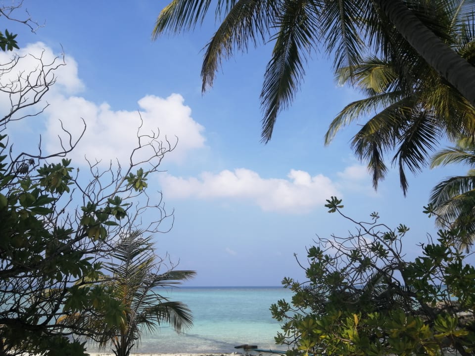 Ausblick Summer Island Maldives
