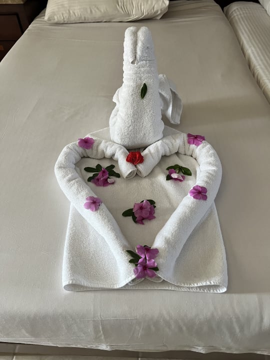 Zimmer Shams Prestige Abu Soma-Adults Only