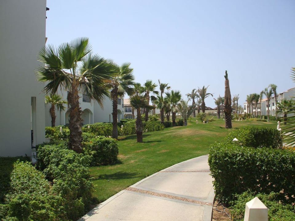 Einer der vielen Wege... Reef Oasis Blue Bay Resort