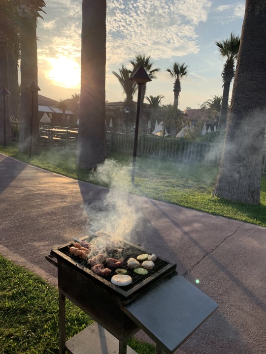 Gartenanlage Megasaray Club Belek