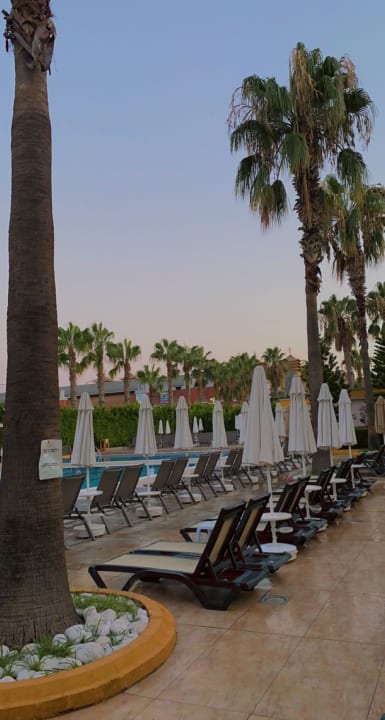 Pool Hane Family Resort