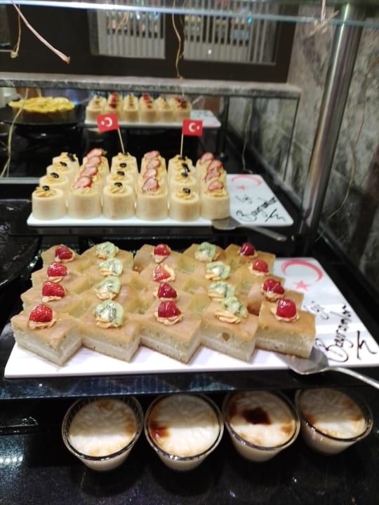 Gastro Seashell Vega