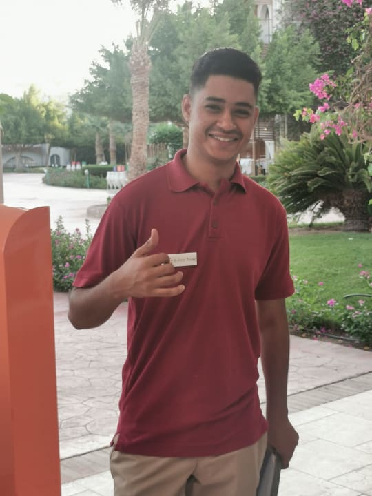 Sonstiges Desert Rose