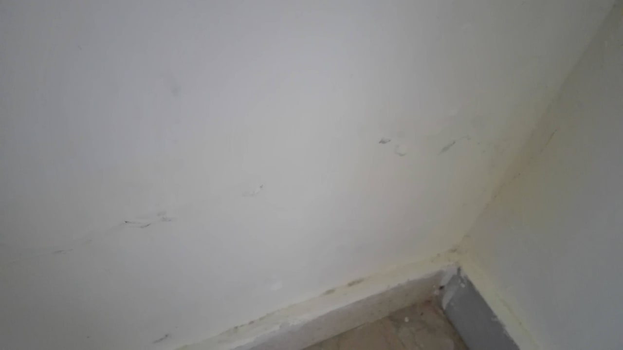 Wasserflecken  Captain's Apartments Barbati