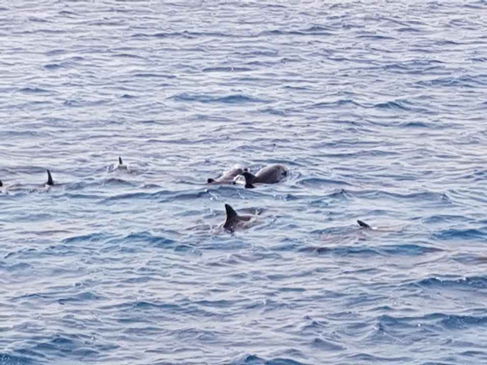 Sonstiges Pickalbatros Alf Leila Wa Leila Resort - Neverland Hurghada