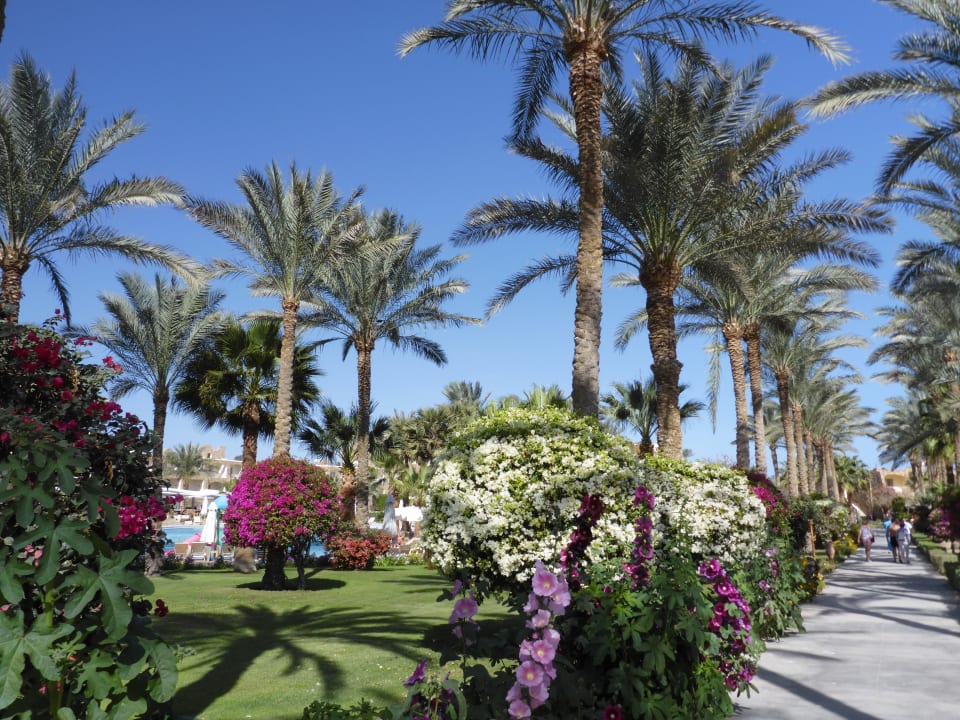 Gartenanlage Brayka Bay Resort