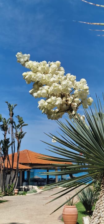 Gartenanlage Hotel Villaggio Il Gabbiano