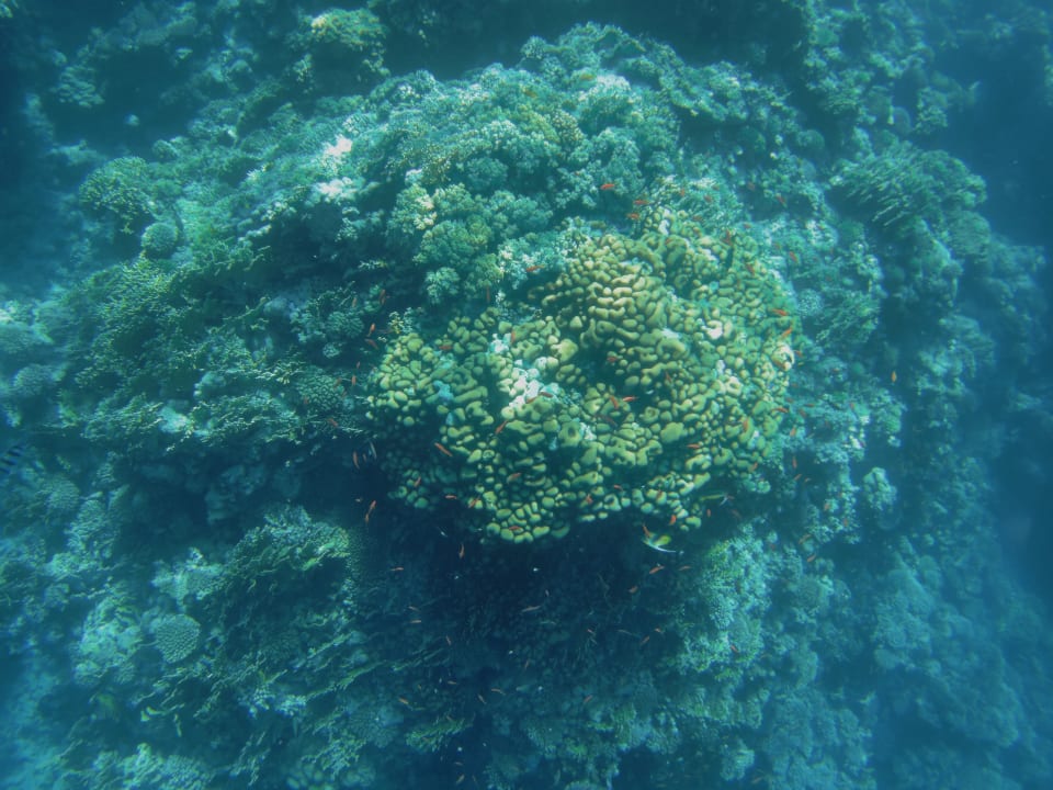 Strand Casa Mare Resort