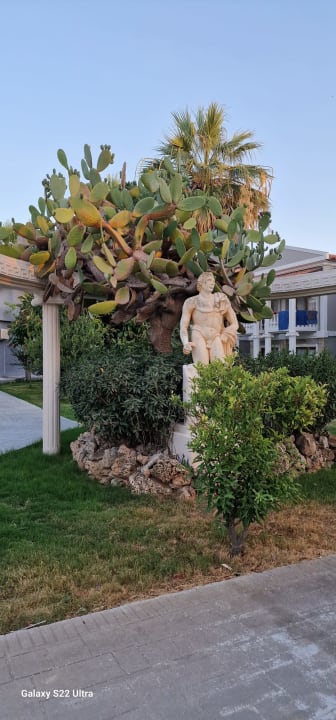 Gartenanlage Lucas Didim Resort