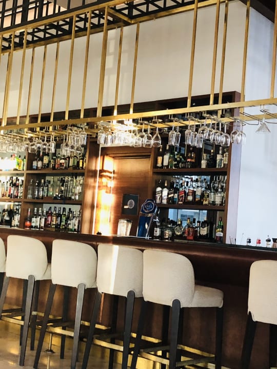 Gastro Acanthus Cennet Barut Collection