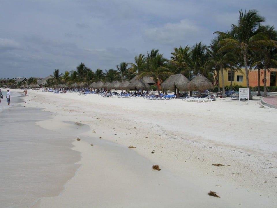 la plage d'akumal beach resort Akumal Bay Beach & Wellness Resort