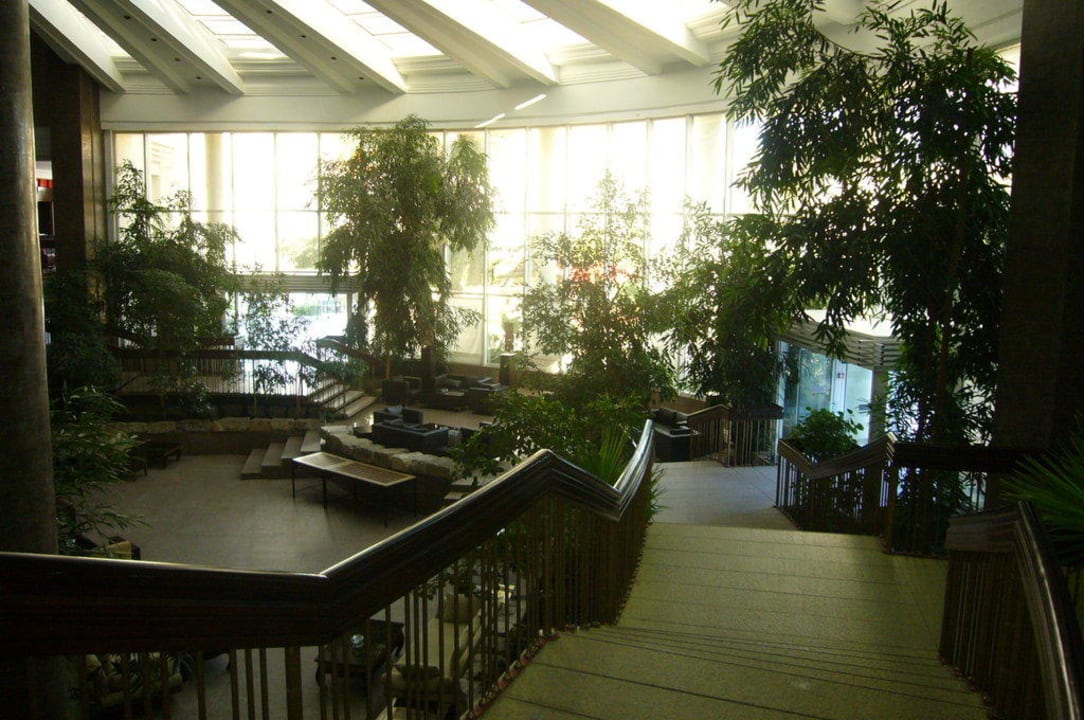 Lobby & Eingang TUI MAGIC LIFE Africana