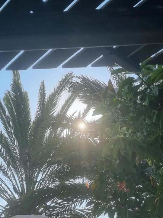 Ausblick Aska Hotel Just in Beach