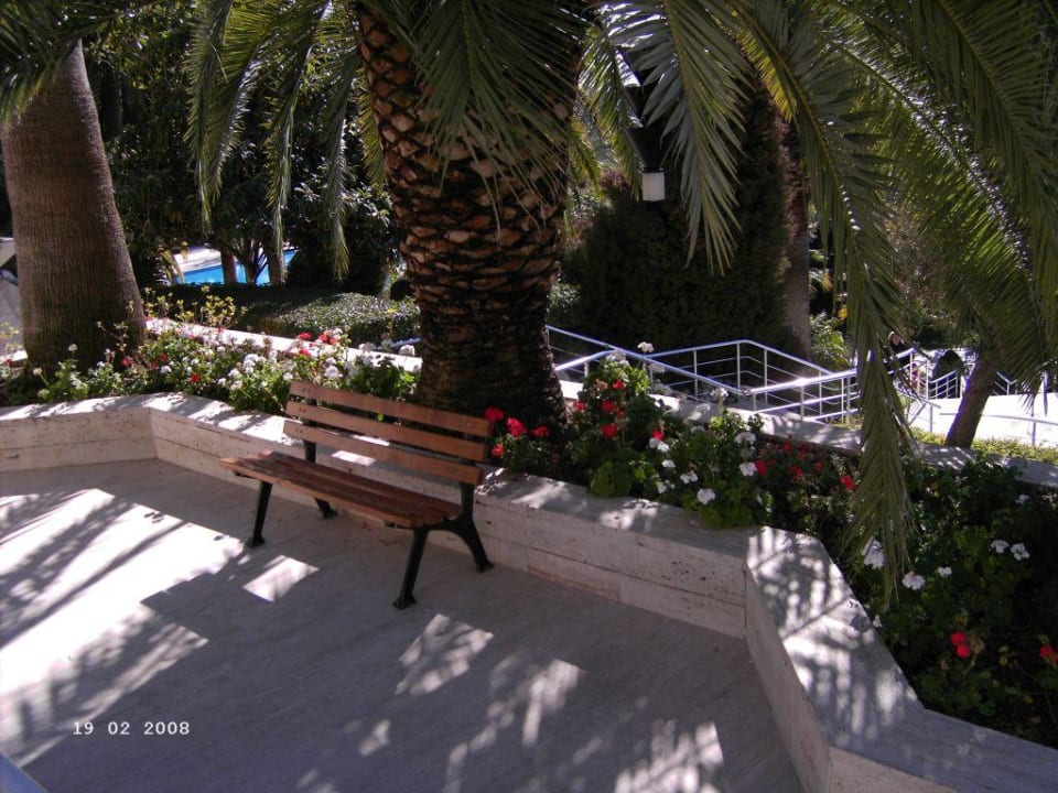 Bänke Side Star Elegance