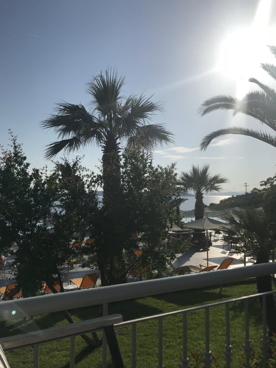 Gartenanlage Akrathos Beach Hotel