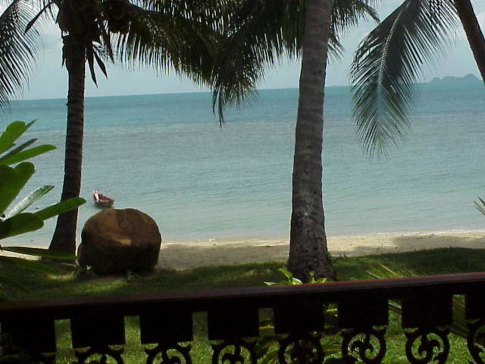 Blick von der Terrasse Coconut Tropicana T 1