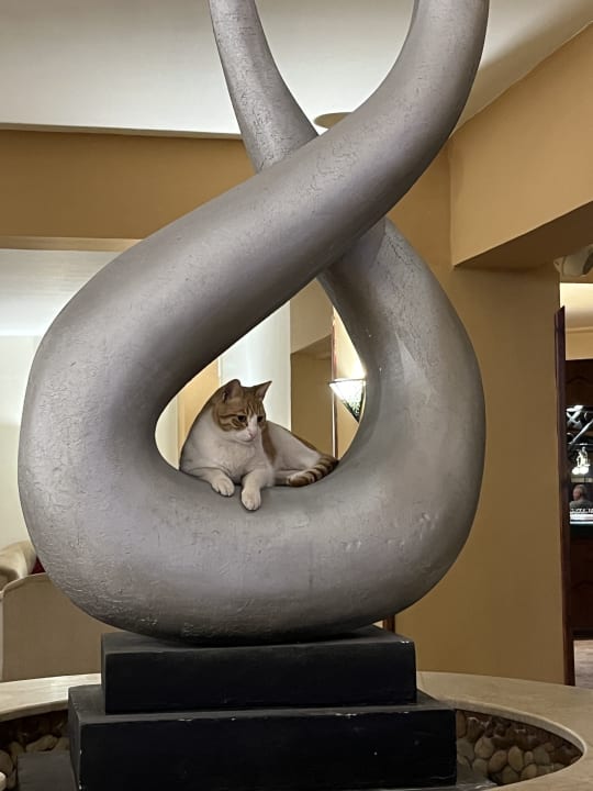 Lobby Giftun Azur Resort