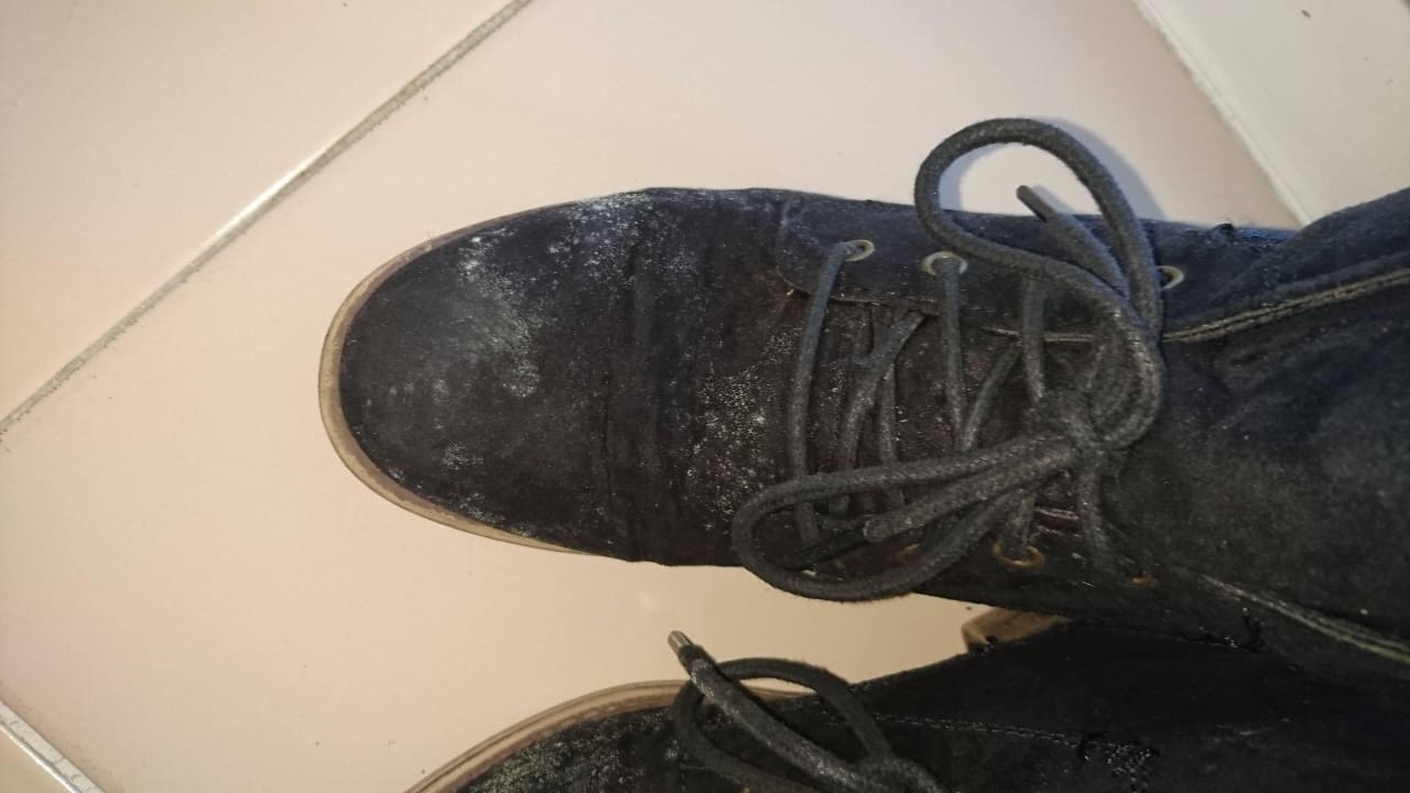 Meine Schuhe sind verschimmelt Playabachata Hotel
