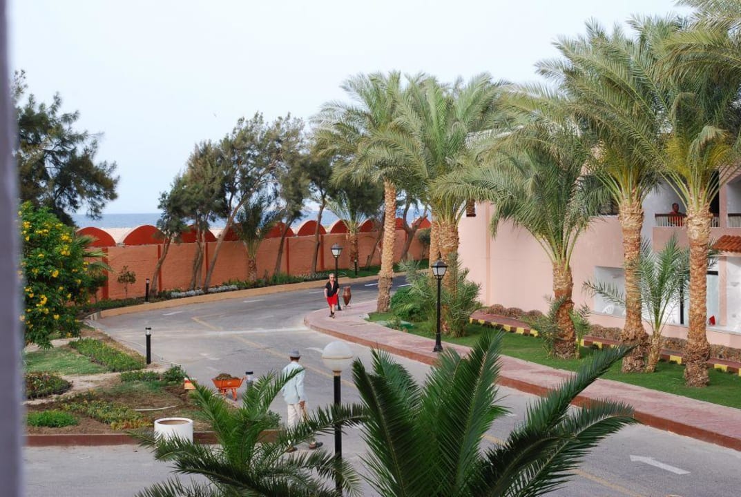 Der Blick aus unserem Zimmer auf das Meer! Beach Albatros Resort
