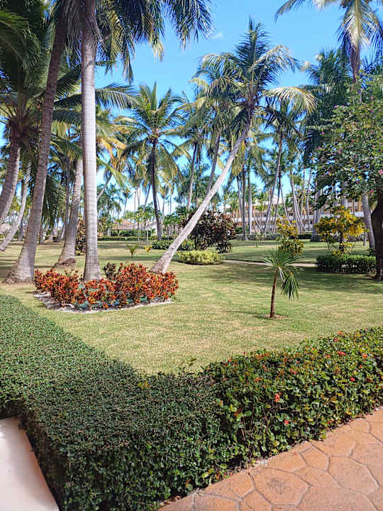Gartenanlage Iberostar Waves Punta Cana