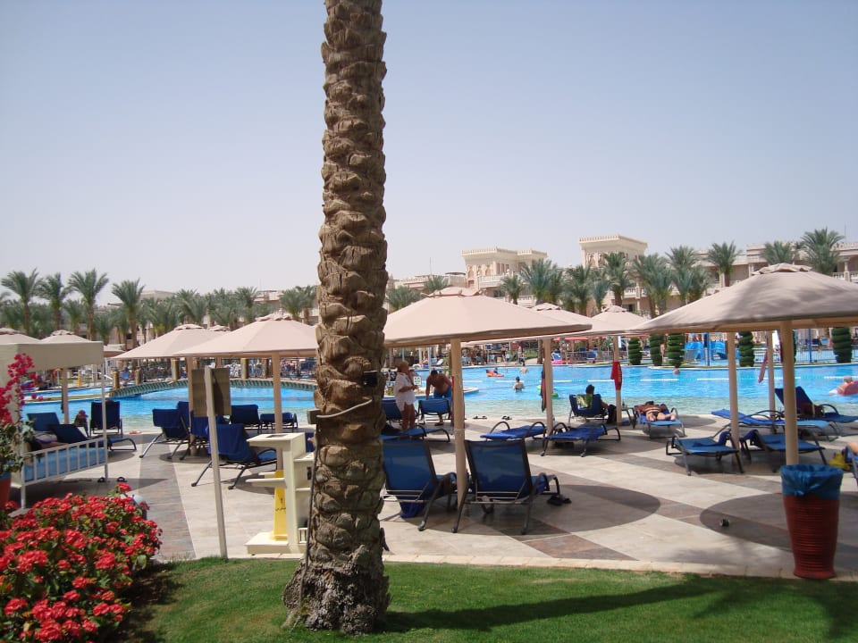 Pool Beach Albatros Resort