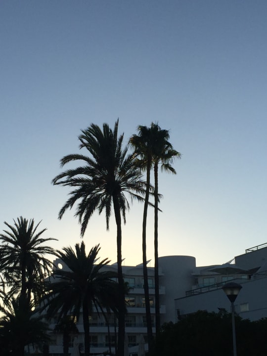 Sonstiges BG Hotel Rei del Mediterrani Palace