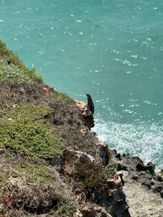 Strand Hotel Las Americas