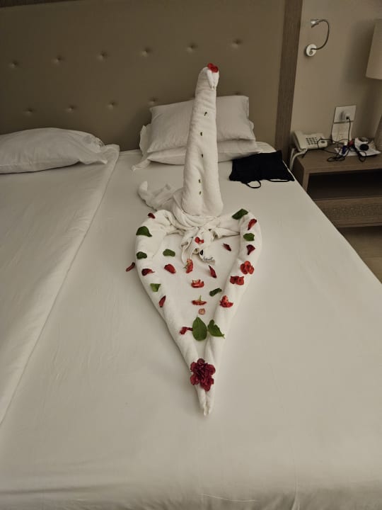 Zimmer Steigenberger Resort Alaya Marsa Alam - Red Sea - Adults only