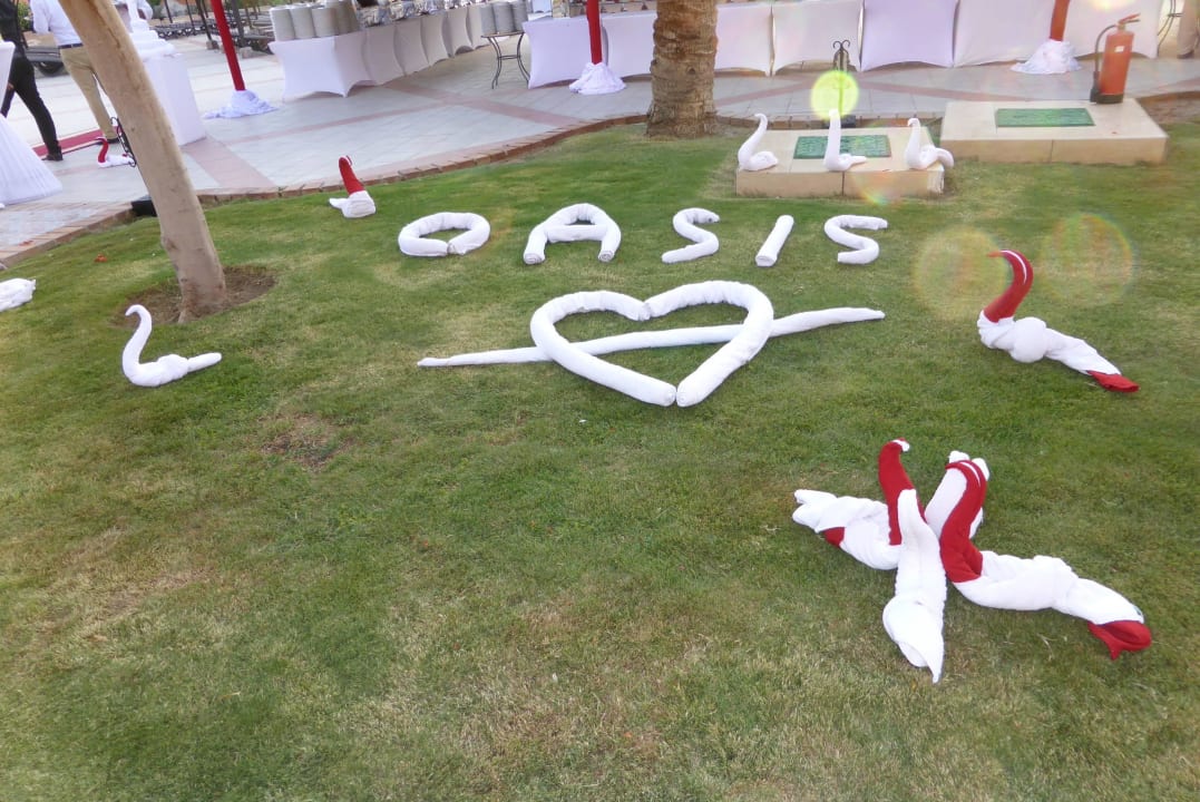 Sehr gepflegt Jaz Makadi Oasis Resort