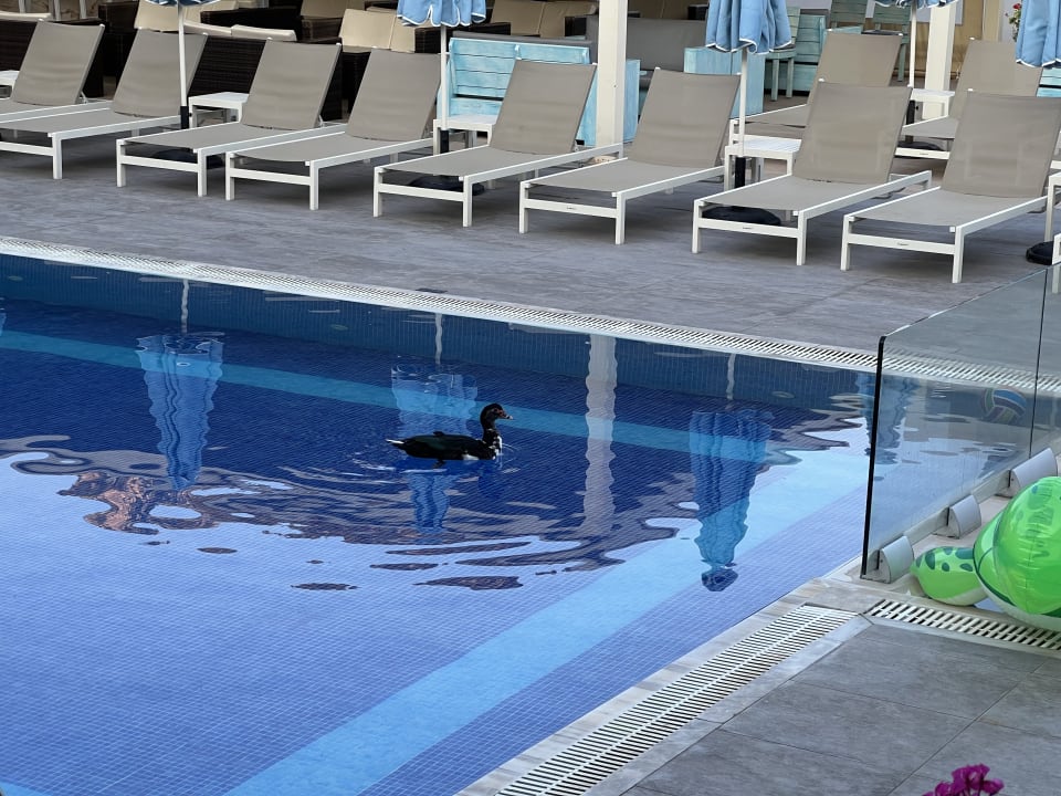 Pool Hotel Xidas Garden