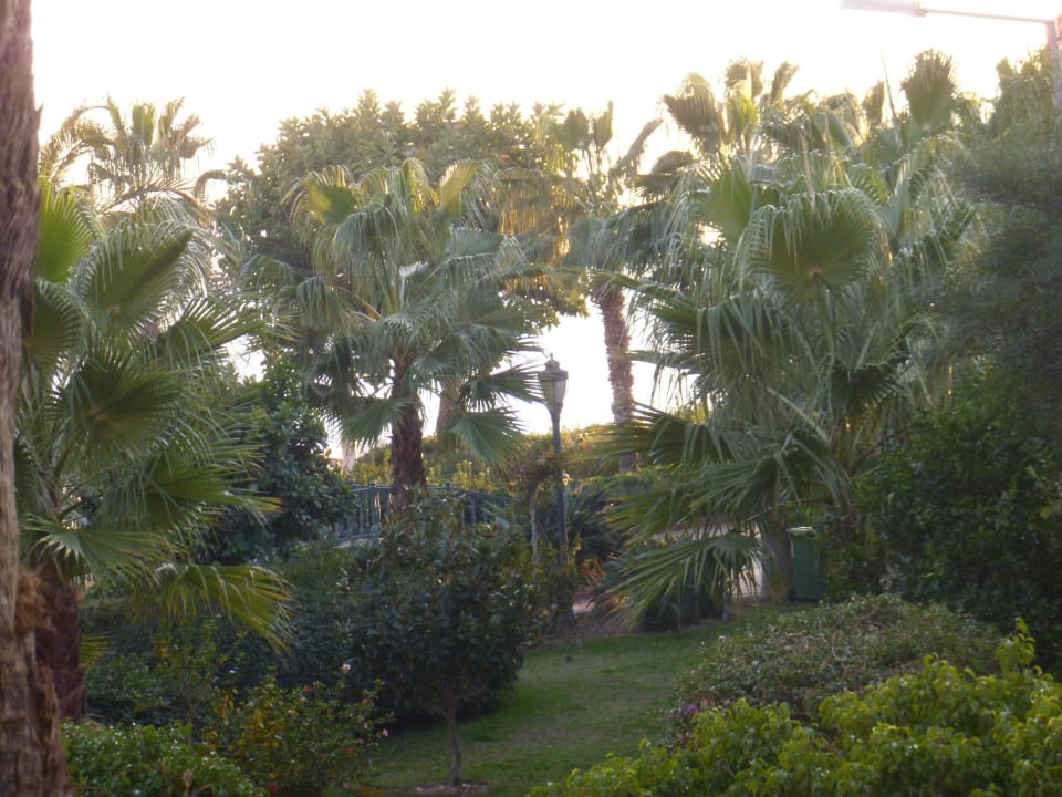 Parkbereich zum Kleopatrastrand Gardenia Hotel