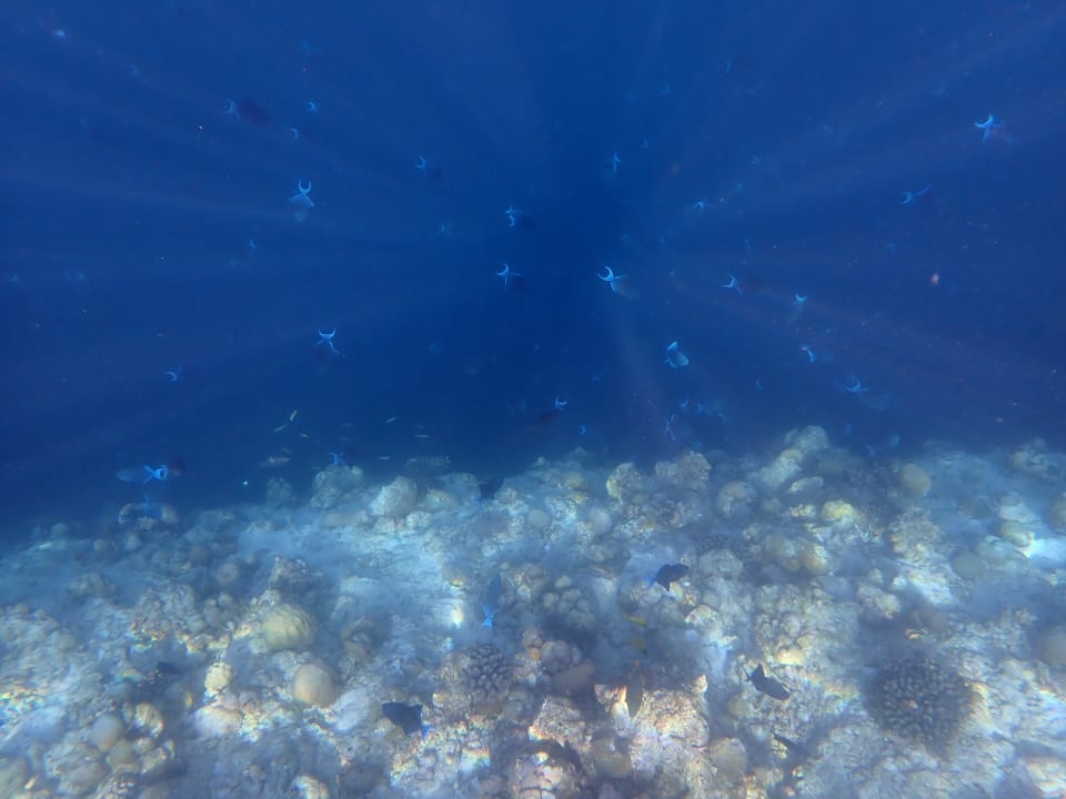 Strand NH Collection Maldives Reethi Resort