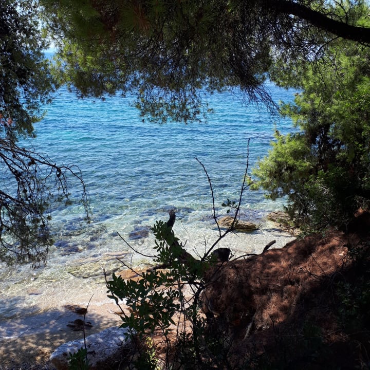 Strand Casa Bloo - Adults only