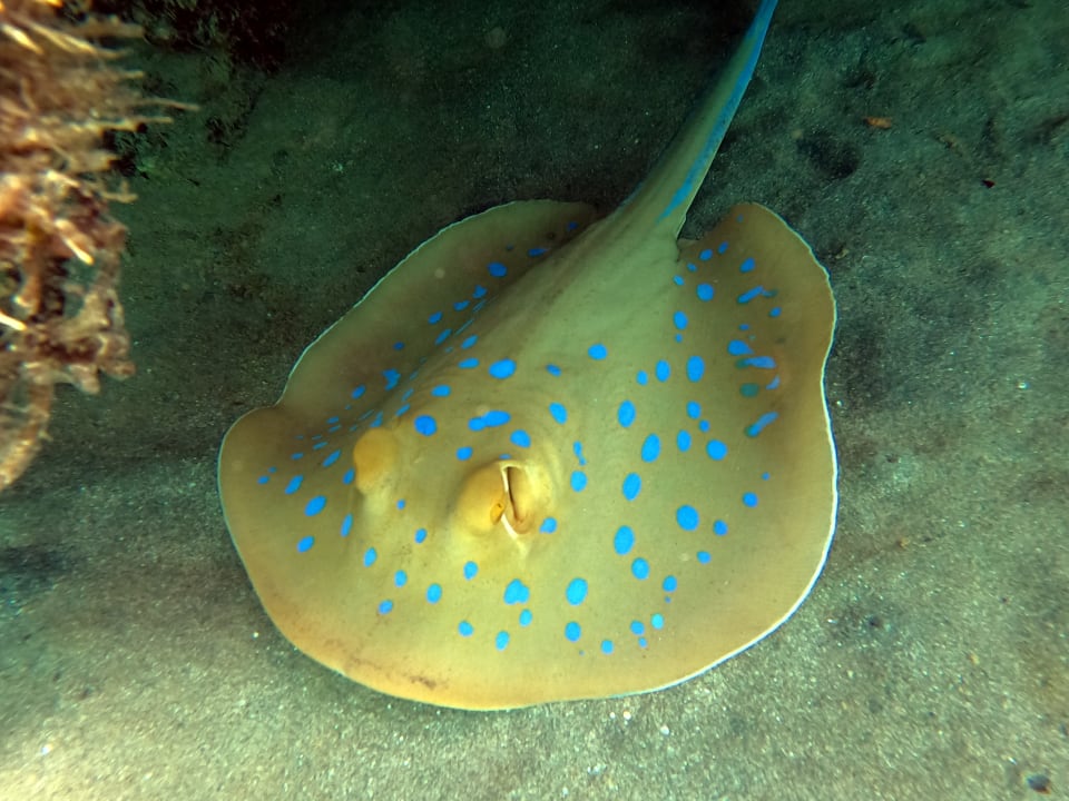 Sport & Freziet Brayka Bay Resort